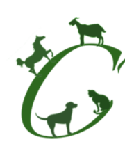 Petsitter - Ticonta Webdesign